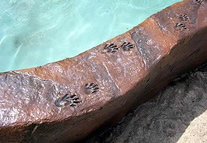 FossilCrete